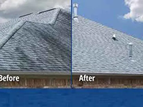 Gallery Pressure Washing 6